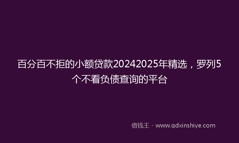 百分百不拒的小额贷款20242025年精选，罗列5个不看负债查询的平台