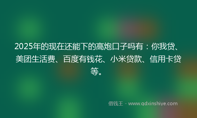 2025年的现在还能下的高炮口子吗有：你我贷、美团生活费、百度有钱花、小米贷款、信用卡贷等。