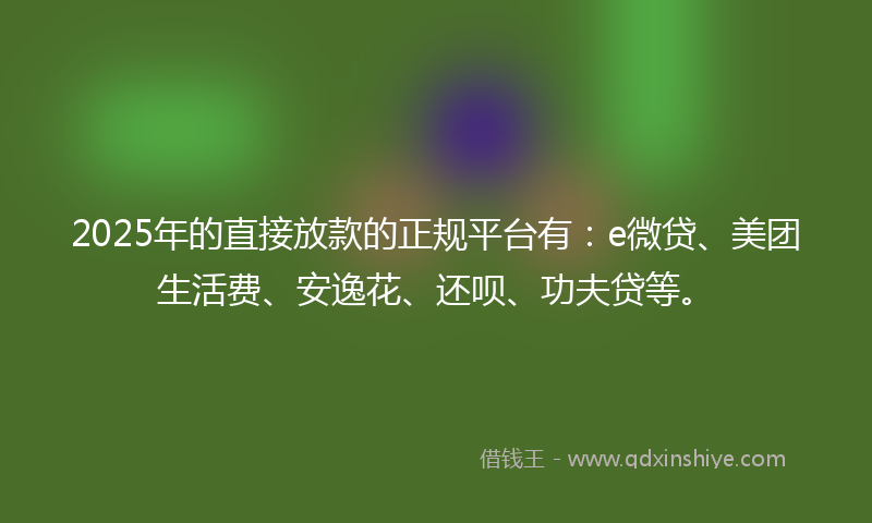 2025年的直接放款的正规平台有：e微贷、美团生活费、安逸花、还呗、功夫贷等。