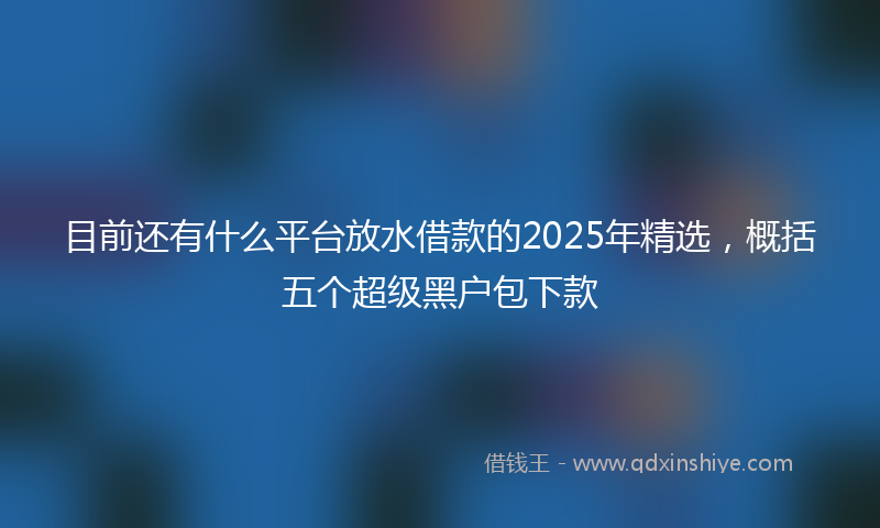 目前还有什么平台放水借款的2025年精选，概括五个超级黑户包下款