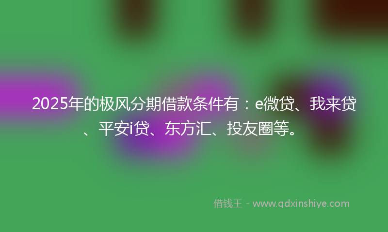 2025年的极风分期借款条件有：e微贷、我来贷、平安i贷、东方汇、投友圈等。