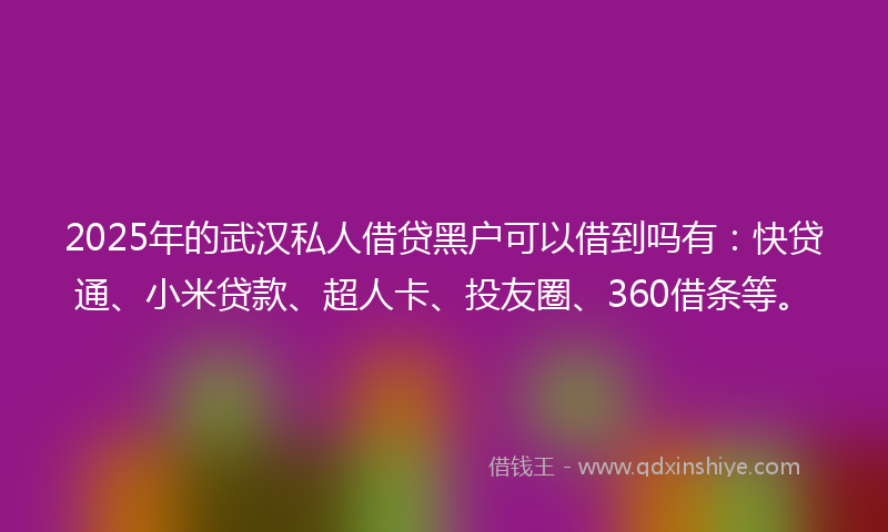 2025年的武汉私人借贷黑户可以借到吗有：快贷通、小米贷款、超人卡、投友圈、360借条等。