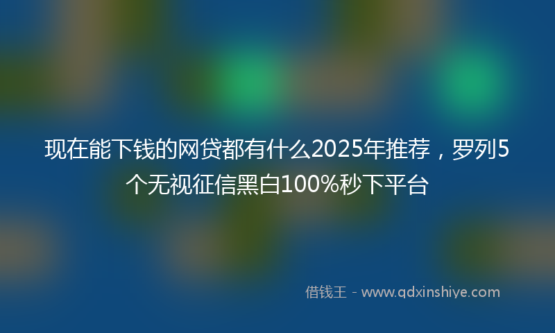 现在能下钱的网贷都有什么2025年推荐，罗列5个无视征信黑白100%秒下平台