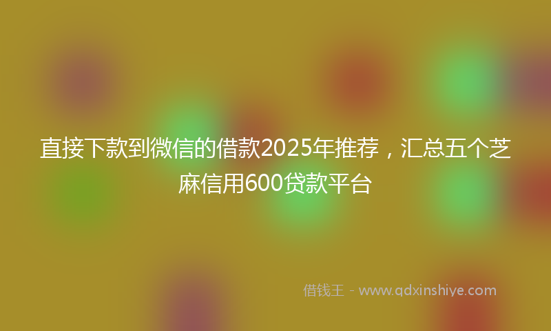 直接下款到微信的借款2025年推荐，汇总五个芝麻信用600贷款平台