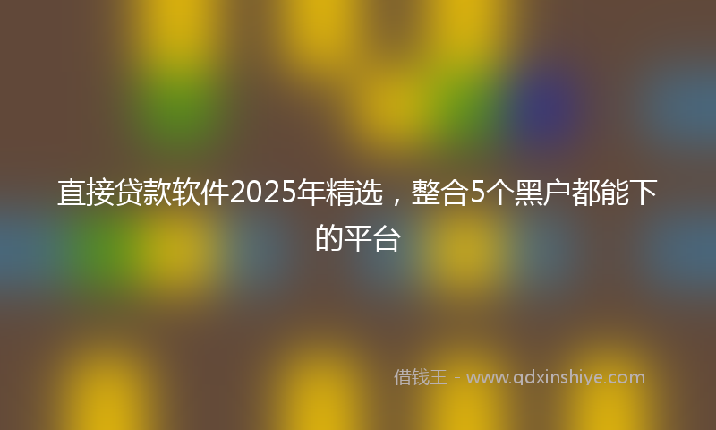直接贷款软件2025年精选,整合5个黑户都能下的平台