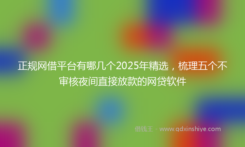 正规网借平台有哪几个2025年精选，梳理五个不审核夜间直接放款的网贷软件