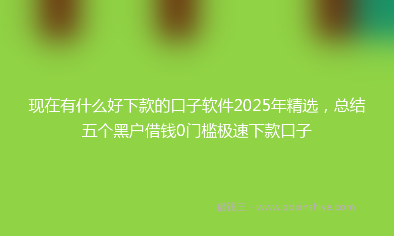 现在有什么好下款的口子软件2025年精选，总结五个黑户借钱0门槛极速下款口子