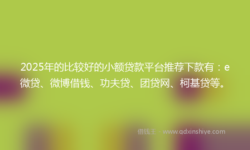2025年的比较好的小额贷款平台推荐下款有：e微贷、微博借钱、功夫贷、团贷网、柯基贷等。