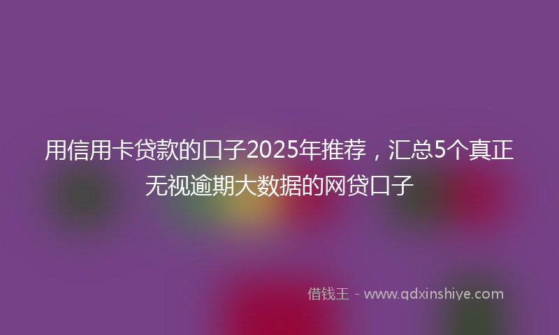用信用卡贷款的口子2025年推荐，汇总5个真正无视逾期大数据的网贷口子