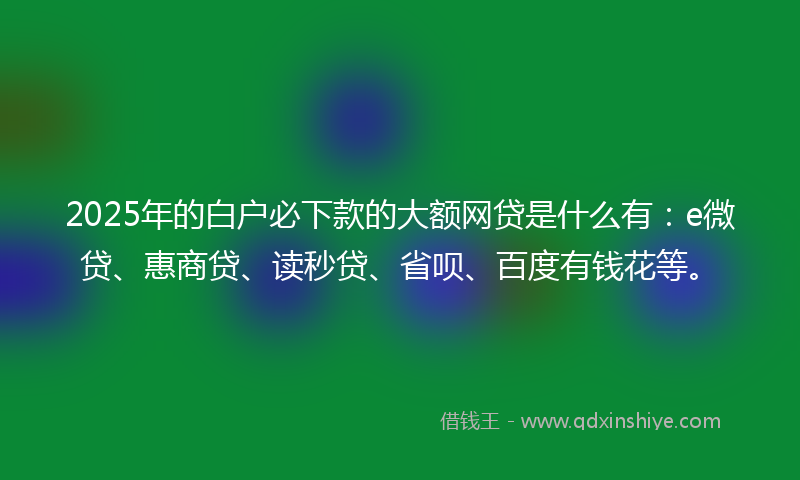2025年的白户必下款的大额网贷是什么有：e微贷、惠商贷、读秒贷、省呗、百度有钱花等。