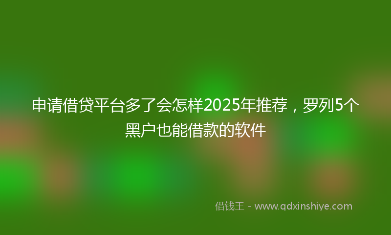 申请借贷平台多了会怎样2025年推荐，罗列5个黑户也能借款的软件