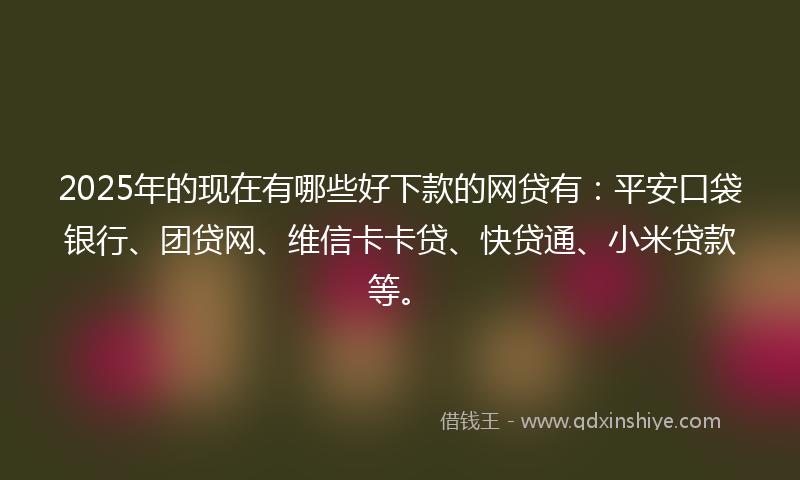 2025年的现在有哪些好下款的网贷有：平安口袋银行、团贷网、维信卡卡贷、快贷通、小米贷款等。