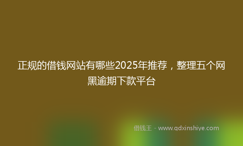 正规的借钱网站有哪些2025年推荐，整理五个网黑逾期下款平台