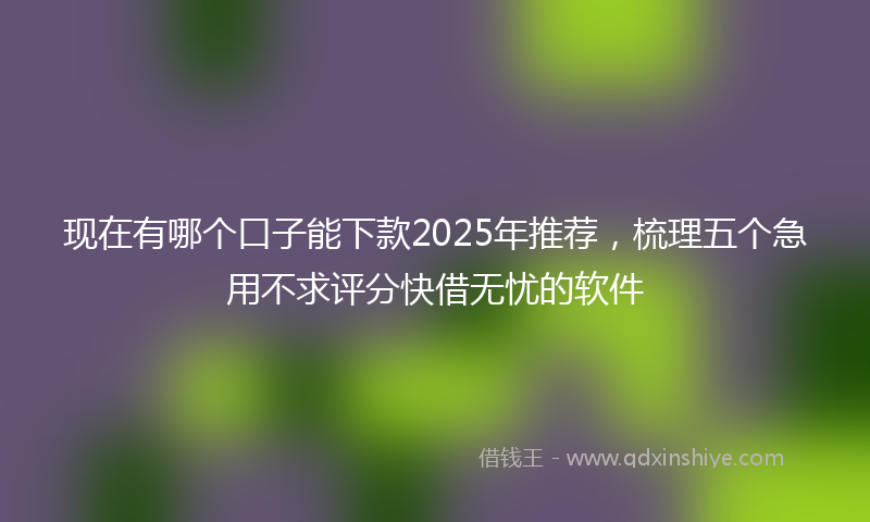 现在有哪个口子能下款2025年推荐，梳理五个急用不求评分快借无忧的软件