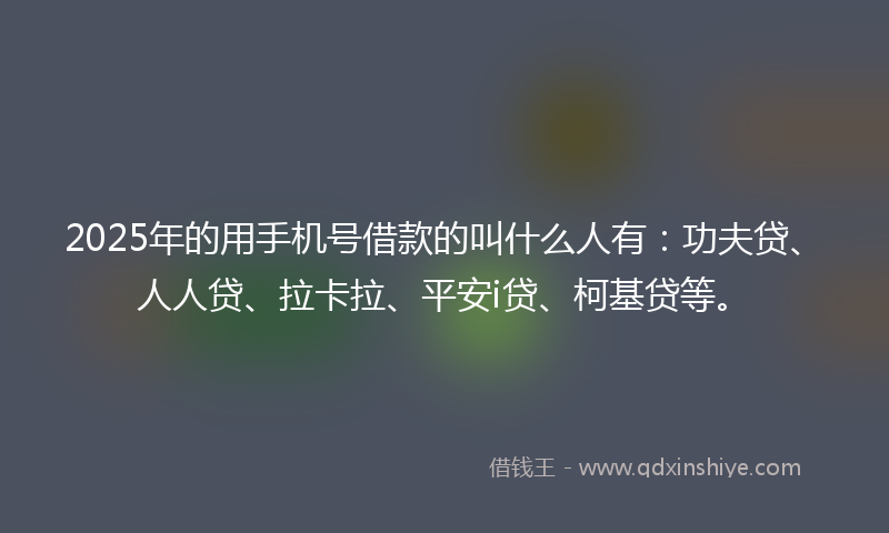 2025年的用手机号借款的叫什么人有：功夫贷、人人贷、拉卡拉、平安i贷、柯基贷等。