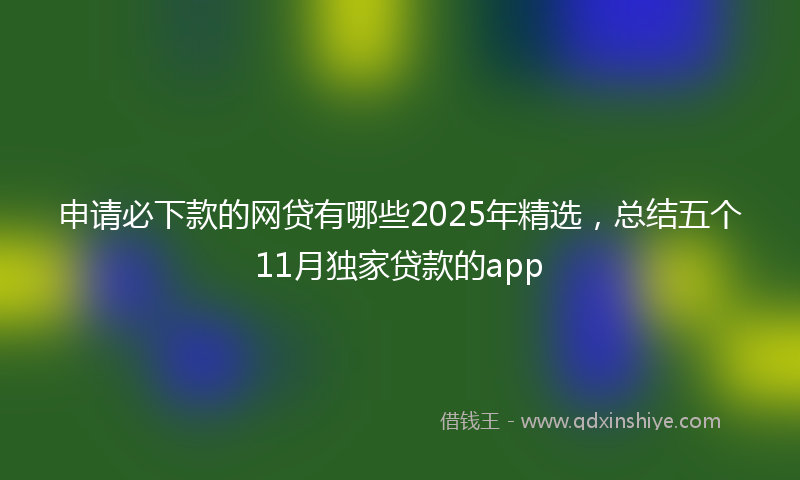 申请必下款的网贷有哪些2025年精选，总结五个11月独家贷款的app