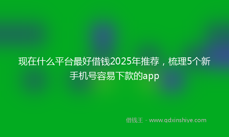 现在什么平台最好借钱2025年推荐，梳理5个新手机号容易下款的app