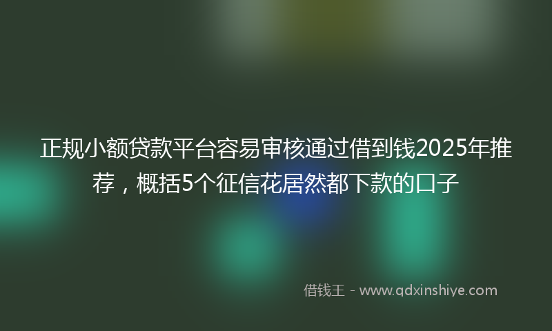 正规小额贷款平台容易审核通过借到钱2025年推荐，概括5个征信花居然都下款的口子