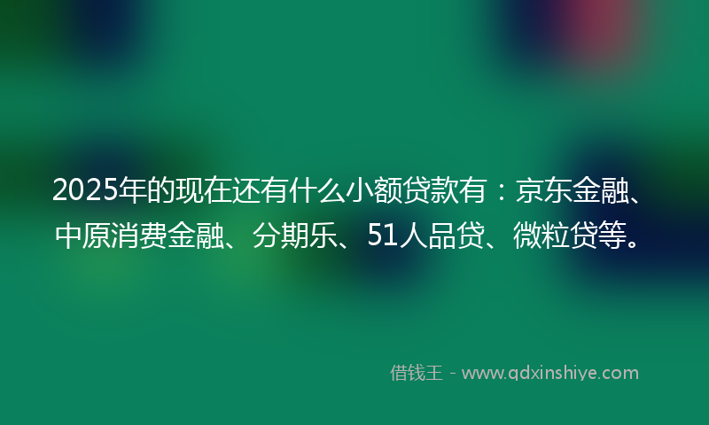 2025年的现在还有什么小额贷款有：京东金融、中原消费金融、分期乐、51人品贷、微粒贷等。