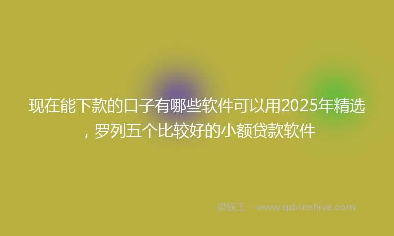 现在能下款的口子有哪些软件可以用2025年精选，罗列五个比较好的小额贷款软件