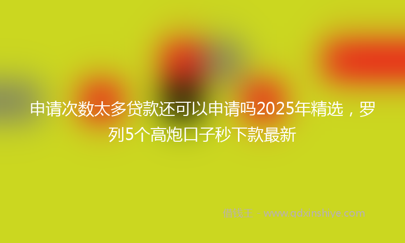 申请次数太多贷款还可以申请吗2025年精选，罗列5个高炮口子秒下款最新
