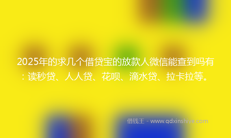 2025年的求几个借贷宝的放款人微信能查到吗有：读秒贷、人人贷、花呗、滴水贷、拉卡拉等。