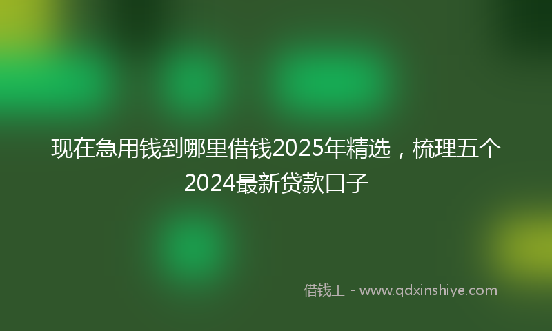 现在急用钱到哪里借钱2025年精选，梳理五个2024最新贷款口子
