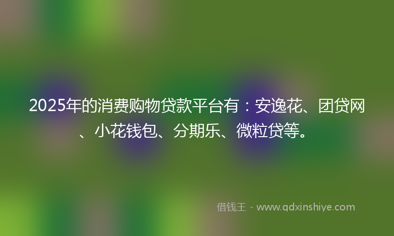 2025年的消费购物贷款平台有：安逸花、团贷网、小花钱包、分期乐、微粒贷等。