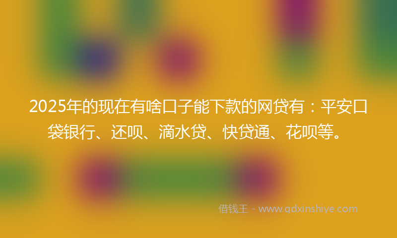 2025年的现在有啥口子能下款的网贷有：平安口袋银行、还呗、滴水贷、快贷通、花呗等。