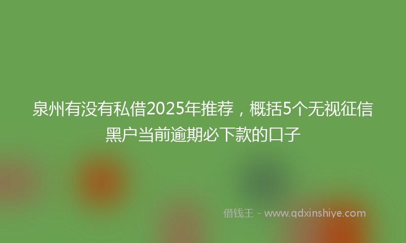 泉州有没有私借2025年推荐，概括5个无视征信黑户当前逾期必下款的口子