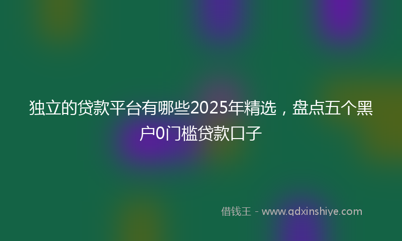 独立的贷款平台有哪些2025年精选，盘点五个黑户0门槛贷款口子