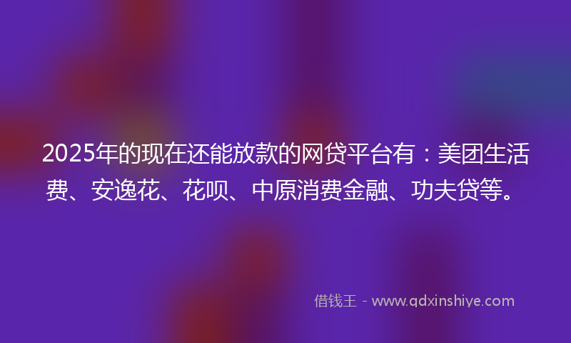 2025年的现在还能放款的网贷平台有：美团生活费、安逸花、花呗、中原消费金融、功夫贷等。