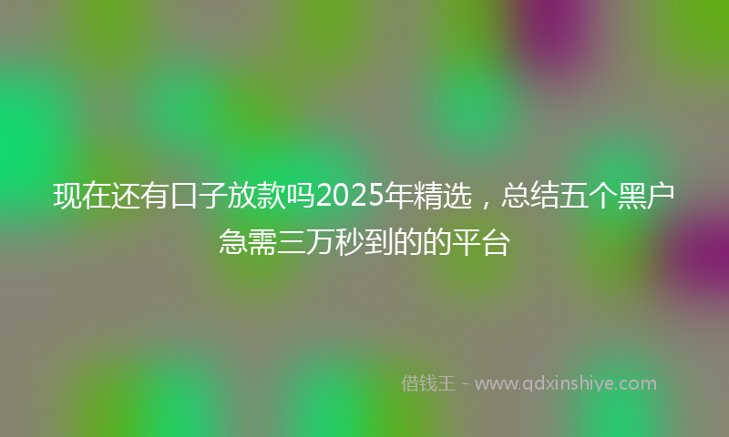 现在还有口子放款吗2025年精选，总结五个黑户急需三万秒到的的平台