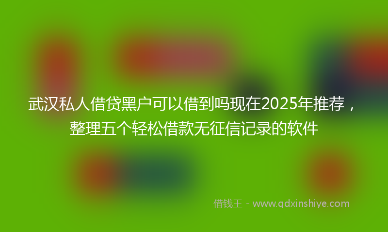 武汉私人借贷黑户可以借到吗现在2025年推荐，整理五个轻松借款无征信记录的软件