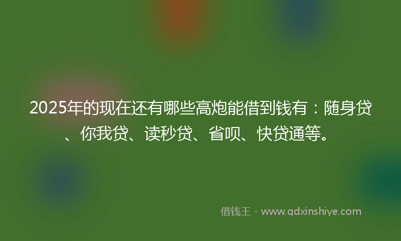 2025年的现在还有哪些高炮能借到钱有：随身贷、你我贷、读秒贷、省呗、快贷通等。