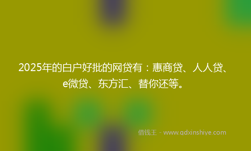 2025年的白户好批的网贷有：惠商贷、人人贷、e微贷、东方汇、替你还等。
