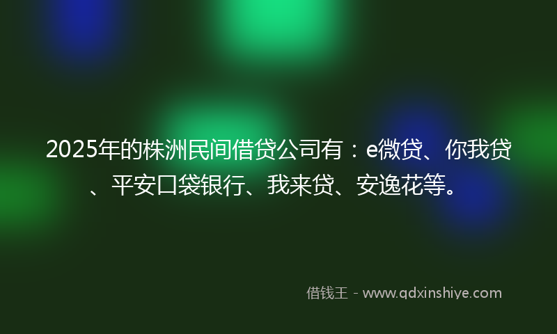 2025年的株洲民间借贷公司有：e微贷、你我贷、平安口袋银行、我来贷、安逸花等。
