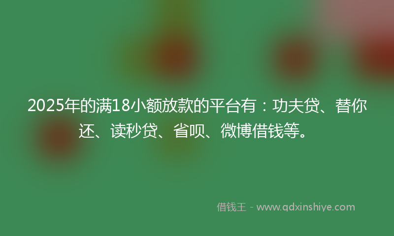 2025年的满18小额放款的平台有：功夫贷、替你还、读秒贷、省呗、微博借钱等。