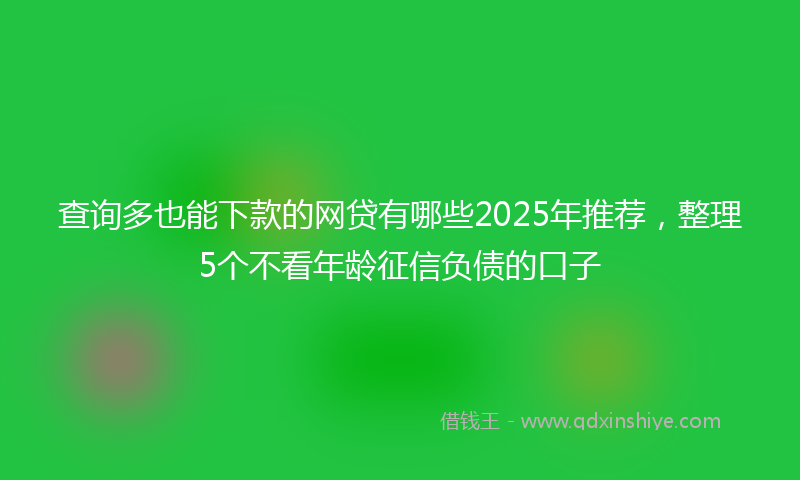 查询多也能下款的网贷有哪些2025年推荐，整理5个不看年龄征信负债的口子