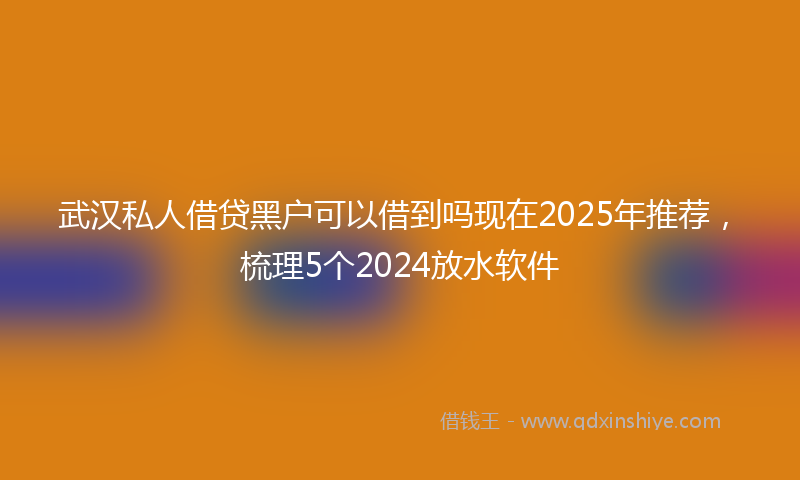 武汉私人借贷黑户可以借到吗现在2025年推荐，梳理5个2024放水软件
