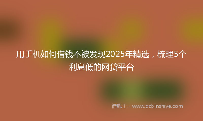 用手机如何借钱不被发现2025年精选，梳理5个利息低的网贷平台