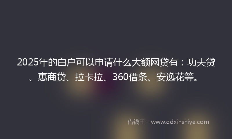 2025年的白户可以申请什么大额网贷有：功夫贷、惠商贷、拉卡拉、360借条、安逸花等。