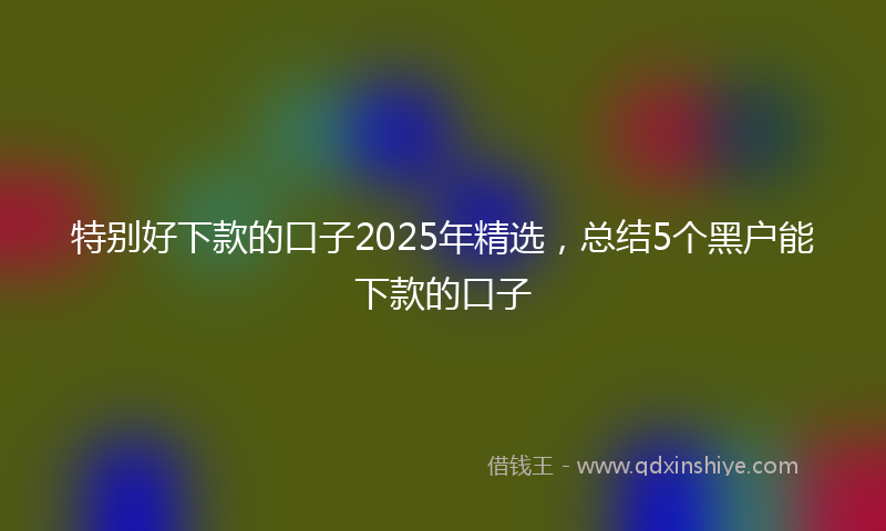 特别好下款的口子2025年精选，总结5个黑户能下款的口子