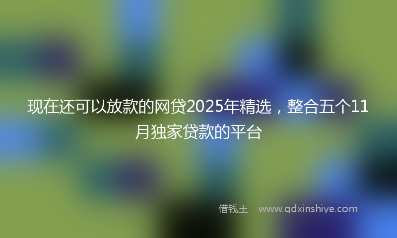现在还可以放款的网贷2025年精选，整合五个11月独家贷款的平台