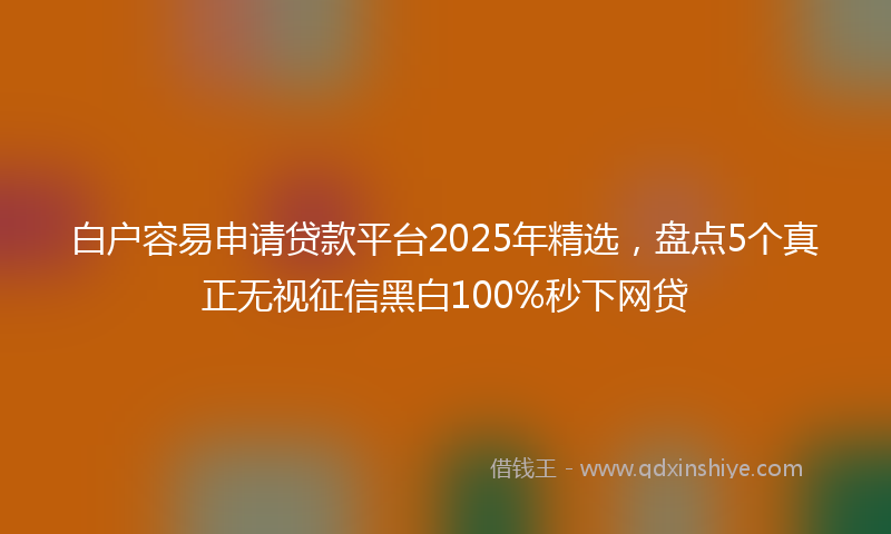 白户容易申请贷款平台2025年精选，盘点5个真正无视征信黑白100%秒下网贷