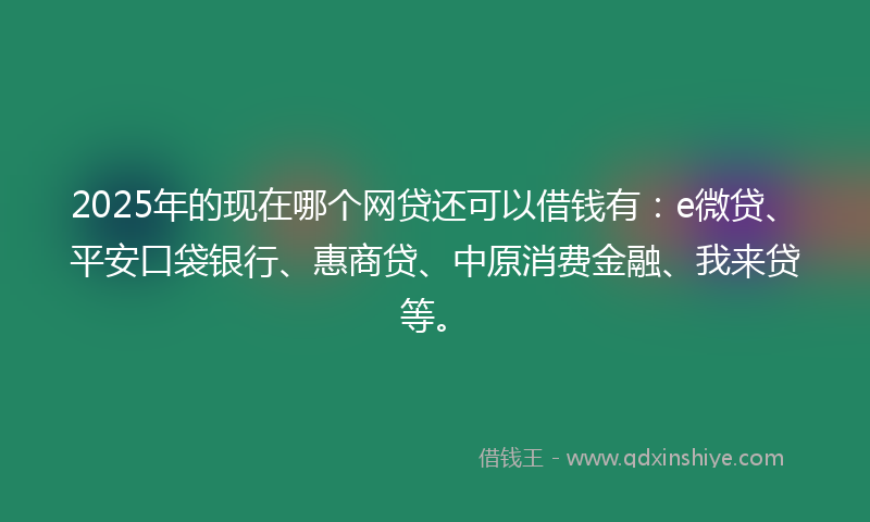 2025年的现在哪个网贷还可以借钱有：e微贷、平安口袋银行、惠商贷、中原消费金融、我来贷等。