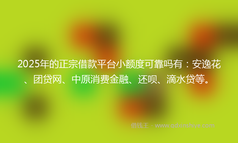 2025年的正宗借款平台小额度可靠吗有：安逸花、团贷网、中原消费金融、还呗、滴水贷等。