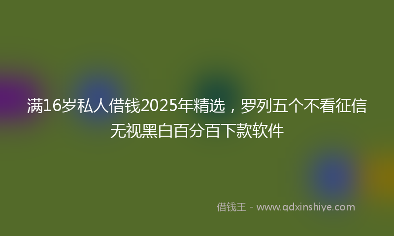 满16岁私人借钱2025年精选，罗列五个不看征信无视黑白百分百下款软件