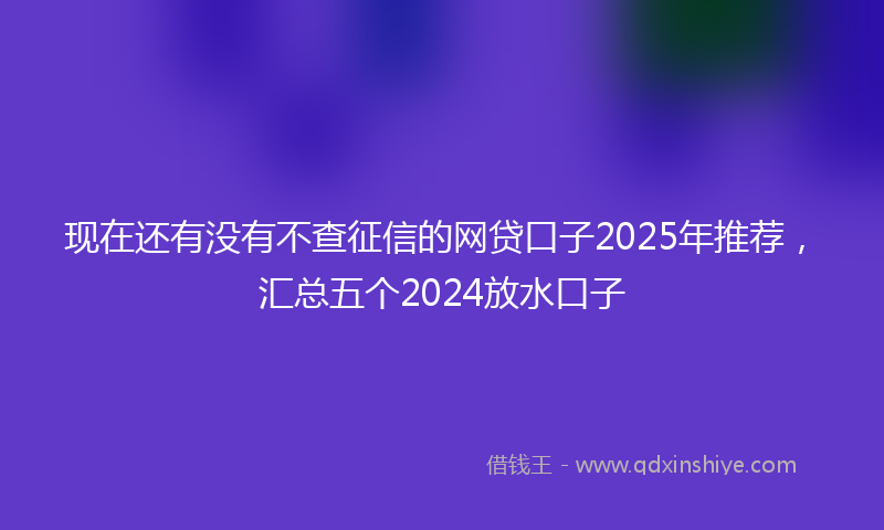 现在还有没有不查征信的网贷口子2025年推荐，汇总五个2024放水口子