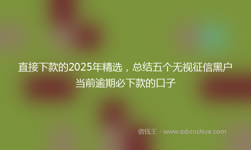 直接下款的2025年精选，总结五个无视征信黑户当前逾期必下款的口子
